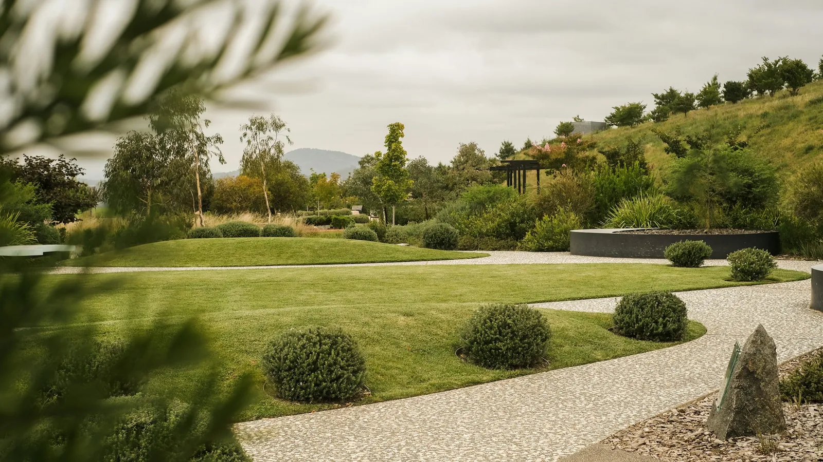A manicured lawn with shrubs and a winding garden path